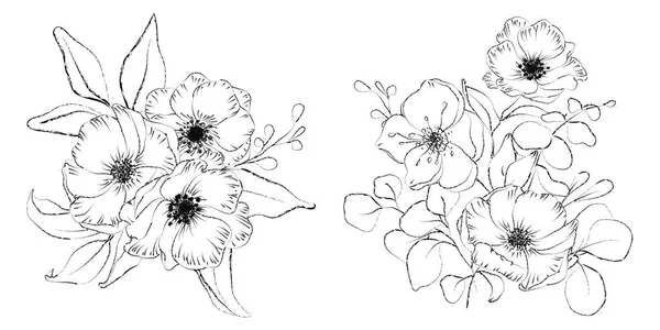 植物素描花花束。线条手绘植物 — 图库矢量图片