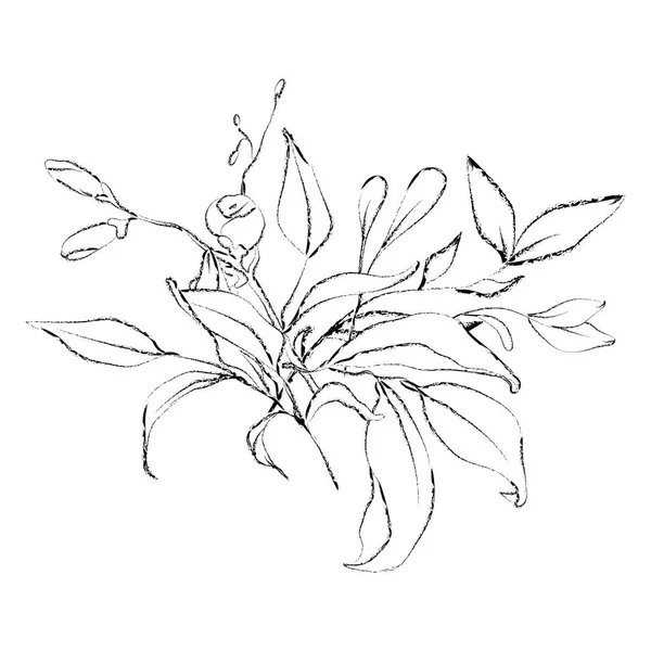 Botaniczny szkicowany bukiet kwiatowy. Linia sztuka ręcznie rysowane roślin — Wektor stockowy