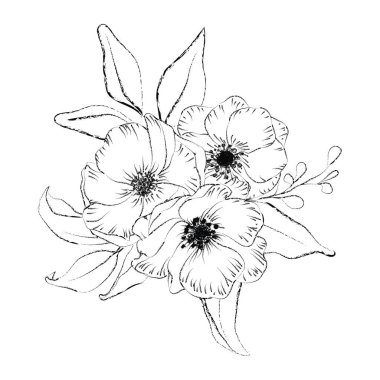 Botanik, çiçek buketi çizmiş. Çizgi el çizimi bitki