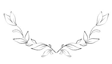 Botanik, çiçek çerçevesi çizmiş. Çizgili el çizimi bitkiler.