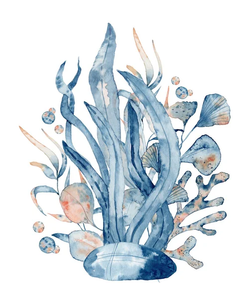 Watercolor underwater floral bouquet with seaweed, hand drawn illustration