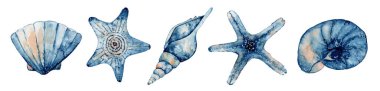 Bir grup deniz yaratığı. Mavi suluboya okyanus yıldızı ve deniz kabuğu.