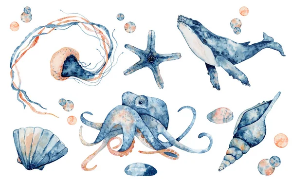 Set of sea animals. Blue watercolor ocean fish, Medusa, whale, seahorse, octopus. — Stock Photo, Image