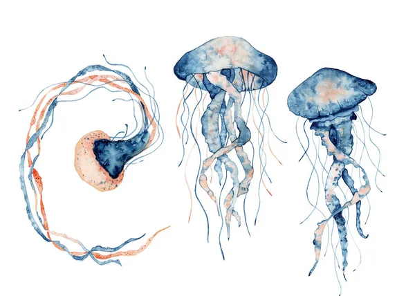 Εικονογράφηση ακουαρέλας μέδουσας. Βαμμένη medusa απομονωμένη σε λευκό φόντο, υποβρύχια άγρια ζωή. — Φωτογραφία Αρχείου