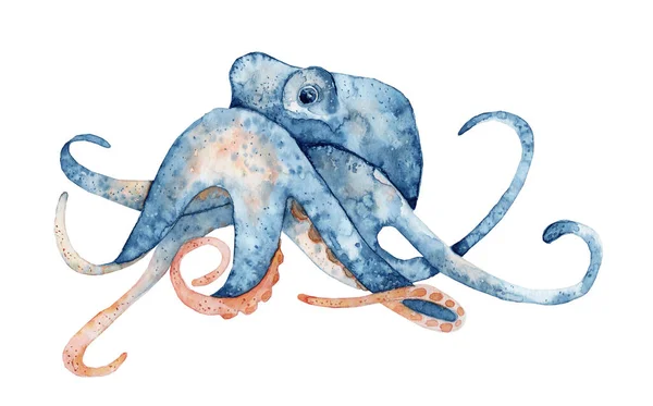 Aquarel met de hand getekend illustratie van octopus in blauwe kleur geïsoleerd op witte achtergrond — Stockfoto