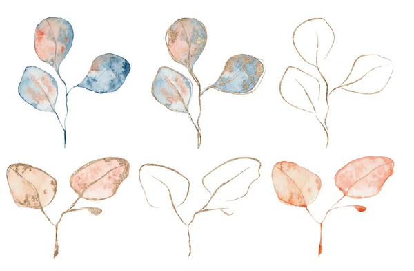 Eucalipto acuarela hojas en azul y rosa con decoración dorada ilustración dibujada a mano — Foto de Stock