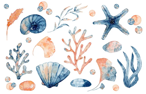 Mavi ve pembe deniz kabuğu, deniz yıldızı ve mercan çizen izole nesnelerin suluboya seti