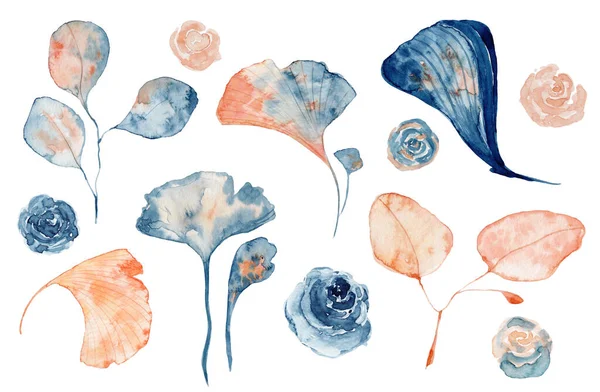 Watercolor set of isolated objects drawing blue and pink leaves and flowers — Stock Photo, Image