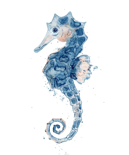 Watercolor seahorse hand drawn  illustration isolated on white background. — Stock Photo, Image