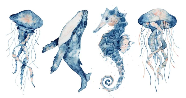 Set of sea animals. Blue watercolor ocean fish, Medusa, whale, seahorse — Stock Photo, Image