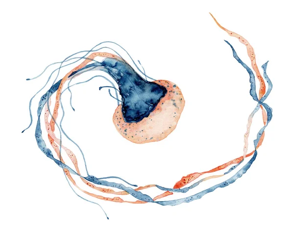 Ilustración de la acuarela medusa. Medusa pintada aislada sobre fondo blanco, fauna submarina . — Foto de Stock