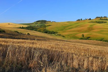 Kırsal manzara Pienza Toskana İtalya çevresinde,