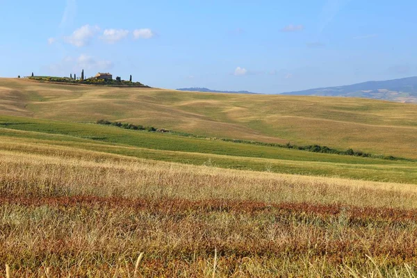 Paesaggio di campagna intorno a Pienza Toscana , — Foto Stock