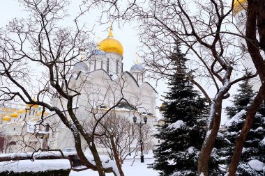 Archangel Katedrali Moskova Kremlin, Rusya
