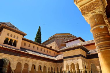  Alhambra Granada 'nın güzel Moorish tarzı tasarımı - Endülüs, İspanya, Avrupa