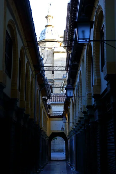 Street View Historic Section Granada Andalusia Spain Spanish Architecture Europe — Stock Photo, Image