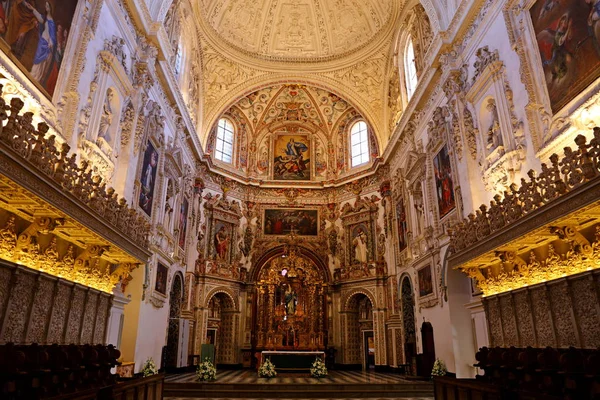Klášterní Kostel Nanebevzetí Panny Marie Monasterio Cartuja Granada Španělsko — Stock fotografie