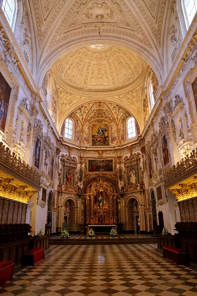 Klášterní Kostel Nanebevzetí Panny Marie Monasterio Cartuja Granada Španělsko — Stock fotografie