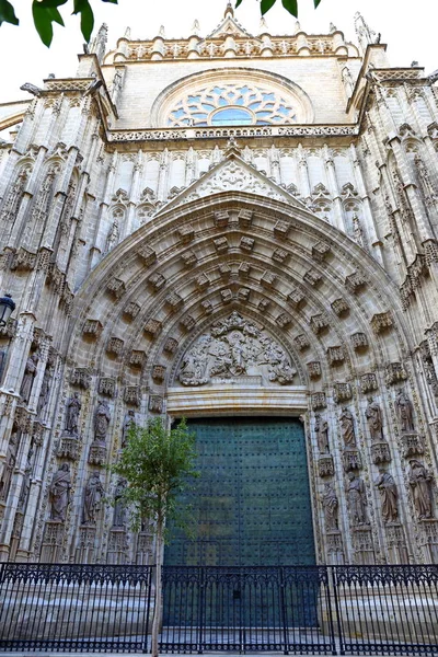Собор Святой Марии Кафедрального Собора Санта Мария Седе Известный Севильский — стоковое фото
