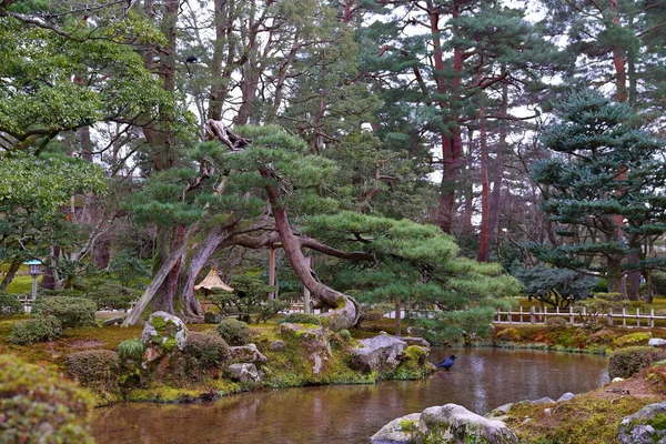 Kenroku Kanazawa Ishikawa Japonya Japonya Nın Büyük Bahçesinden Biri — Stok fotoğraf