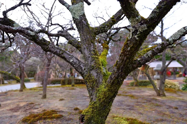 Kenroku Kanazawa Ishikawa Japan Einer Der Drei Großen Gärten Japans — Stockfoto