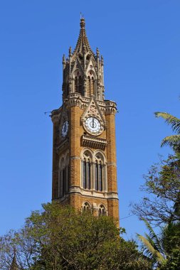 MUMBAI, INDIA - 7 Şubat 2019: Mumbai Üniversitesi 'nin (eski adıyla Bombay) Viktorya Rajabai Saat Kulesi, Hindistan