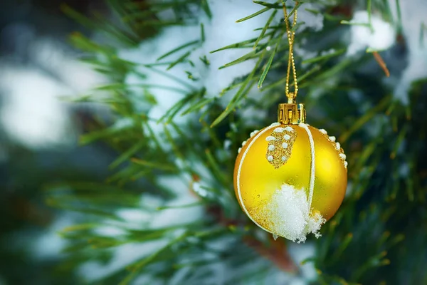 クリスマスのグリーティング カード。雪のスプルースの枝、スプルースの枝に掛かっているクリスマス ボールに黄色のクリスマス ボール — ストック写真