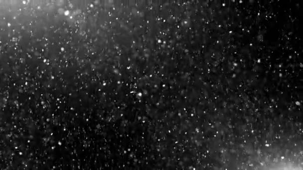 Abstract Light and Dust Particles — Stock Video