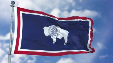 Wyoming bayrak sallayarak
