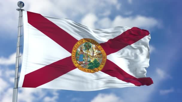 Bandera ondeante de Florida — Vídeos de Stock