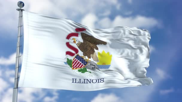 Illinois acenando bandeira — Vídeo de Stock