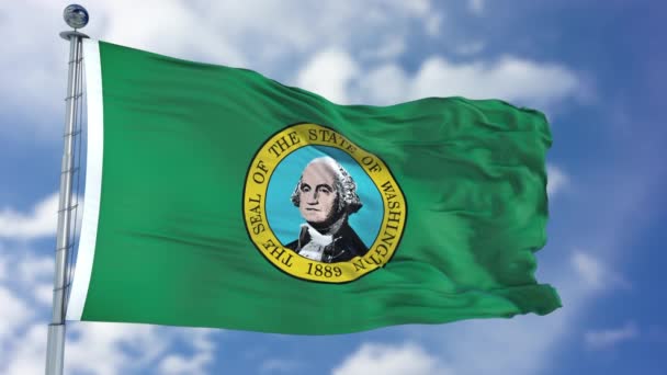 Washington falującej flagi — Wideo stockowe
