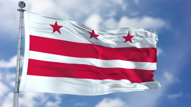 Washington Dc bayrak sallayarak — Stok video