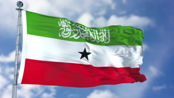 Somalilands flagga på en blå himmel — Stockvideo