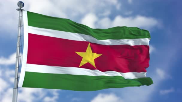 Drapeau du Suriname dans un ciel bleu — Video