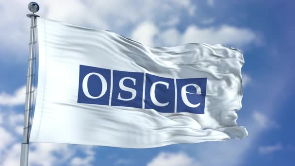 Размахивание флагом ОБСЕ — стоковое видео