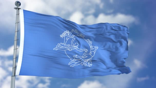 Всемирный почтовый союз ВПС размахивает флагом — стоковое видео