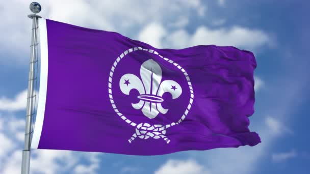 Scout Bandera ondeante púrpura — Vídeo de stock