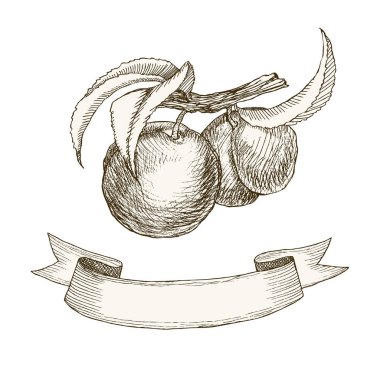 Retro meyve şeftali şerit