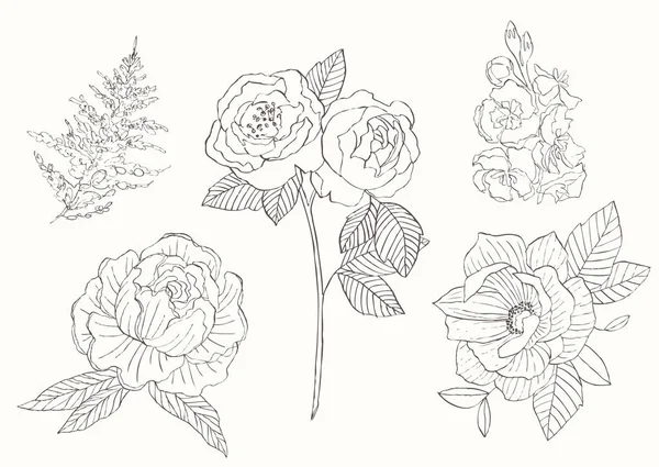 花のセット: 非常に詳細な手描き — ストックベクタ