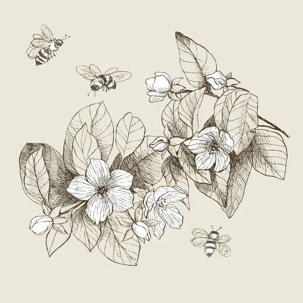 Ilustración botánica vintage flores de flor con abejas — Vector de stock