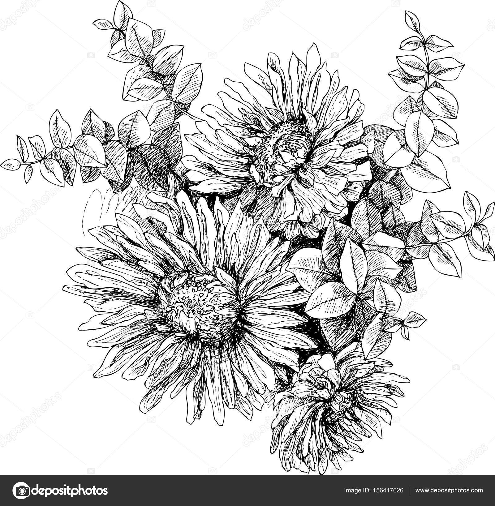 Vintage Botanical Illustration Blossom Garden Flowers Stock Vector C Ledepict Gmail Com 156417626