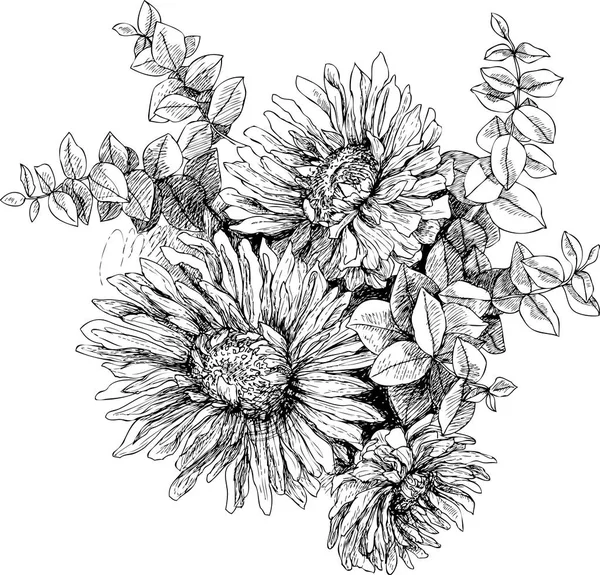 Ilustración botánica vintage flor flores de jardín . — Vector de stock