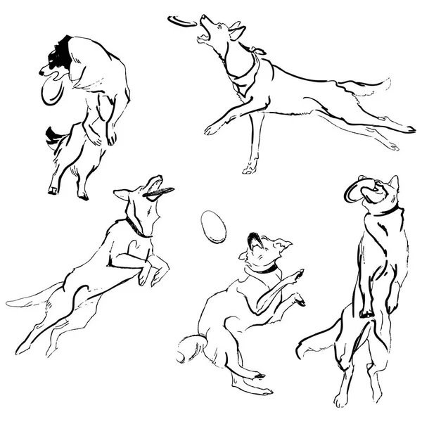 Рисунок животное в движении