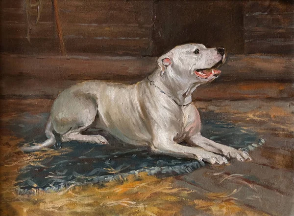 Olieverfschilderij portret van witte jachthond in de schuur. Kunst concept — Stockfoto