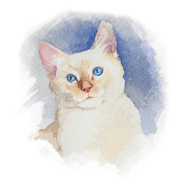 Sevimli renkler Sibirya beyaz arka plan üzerinde izole kedi yavrusu. Portre. Suluboya kavramı. Hayvan kavramı — Stok fotoğraf