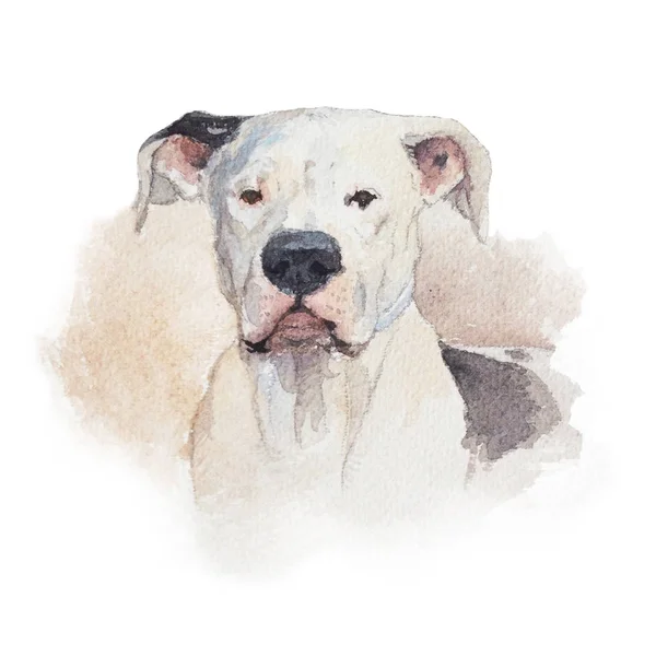 Acquerello artistico ritratto del cane isolato su sfondo bianco. Carino animale domestico disegnato a mano. Concetto animale. Concetto acquerello . — Foto Stock
