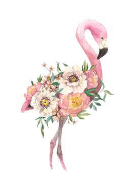 egzotik parlak kuş Flamingo çiçek açan çiçekler. İzole dekoratif unsur. Suluboya kuş kavramı. Tropikal kavramı. çiçek kavramı