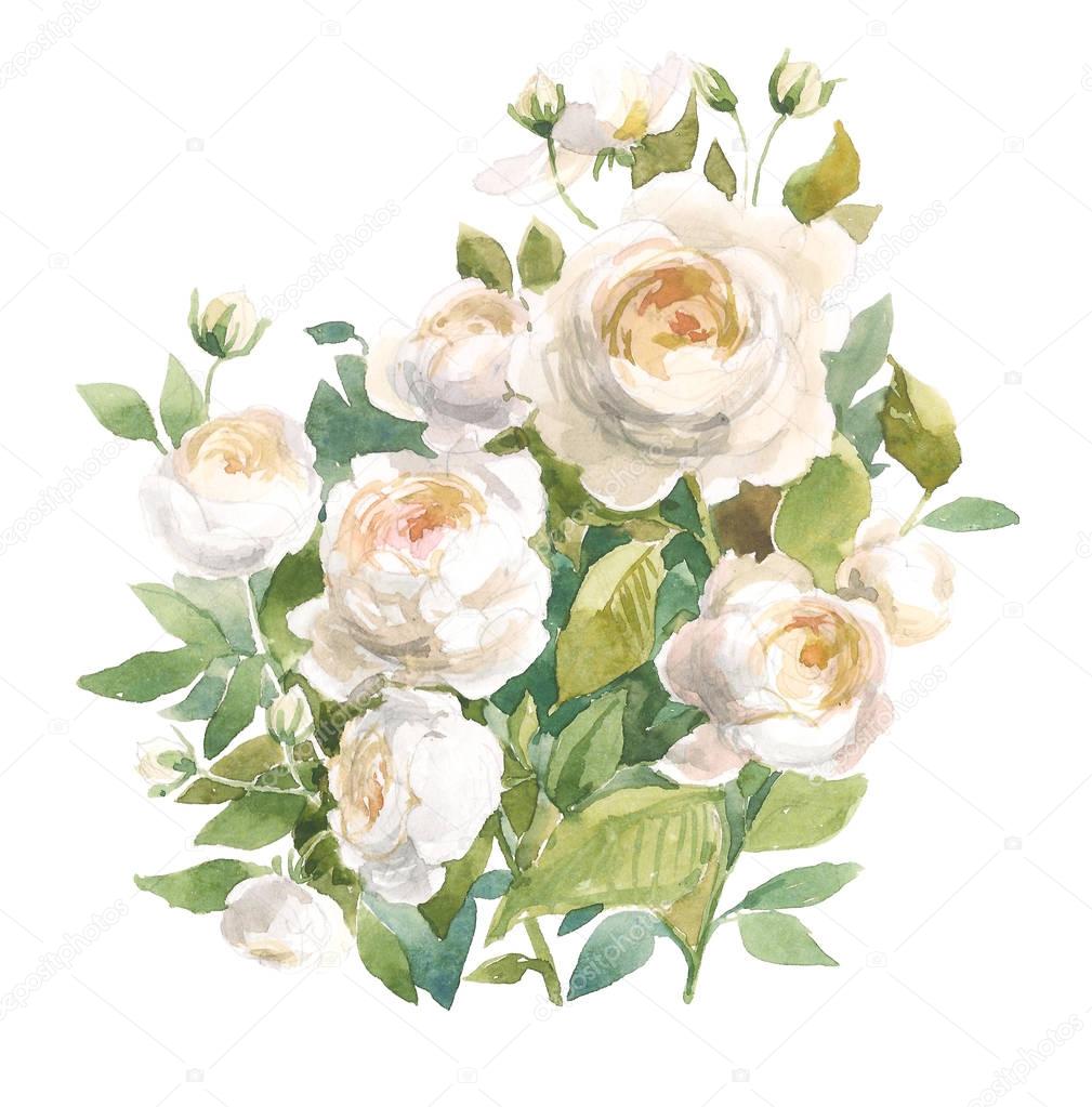 Wild garden roses. Watercolor floral illustration. Botanical decorative element. Flower concept. Botanica concept.