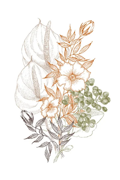 Λουλούδι vintage εικονογράφηση βοτανική. Έννοια των λουλουδιών. Botanica έννοια. Διανυσματική σχεδίαση. — Διανυσματικό Αρχείο
